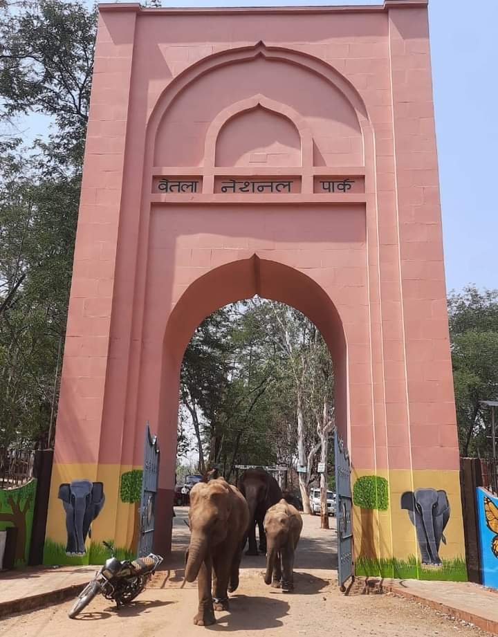 Palamu Forts Heritage - Mobile Plaza